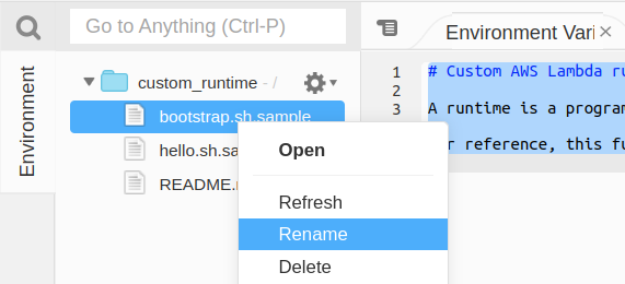 Renaming the Files